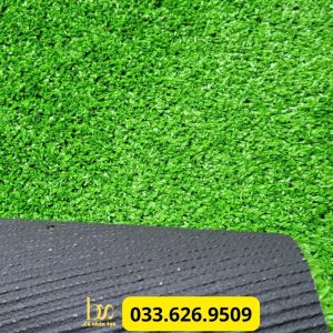 Bề mặt thảm cỏ nhân tạo 1cm làm từ nhựa Nylon
