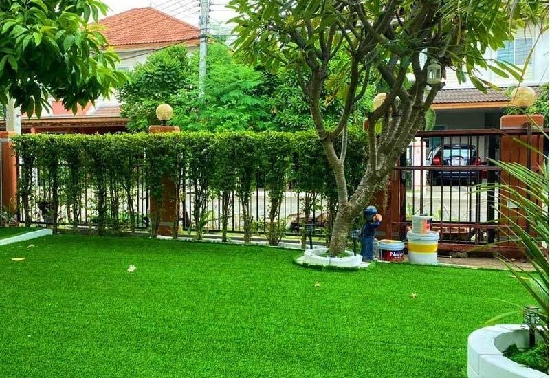 Màu xanh tươi của cỏ trong không gian sân vườn