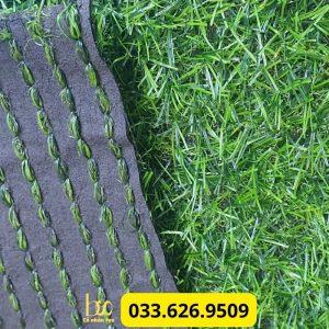Thảm cỏ nhân tạo 2 cm loại rẻ - BS02-11