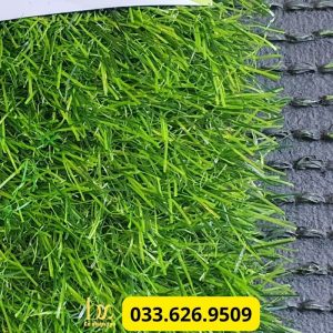 Dòng 3cm giá rẻ nhất