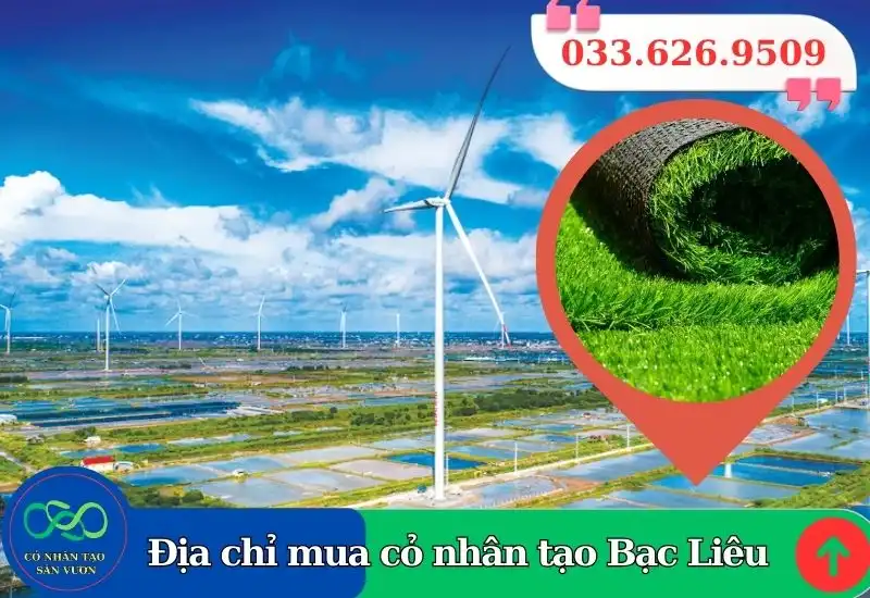Thảm cỏ nhân tạo Bạc Liêu giá rẻ