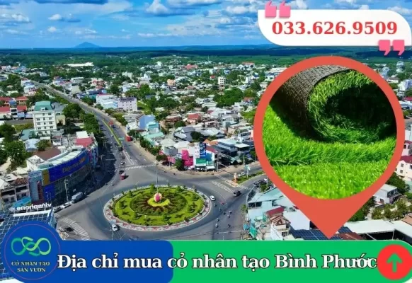 Cỏ nhân tạo Bình Phước