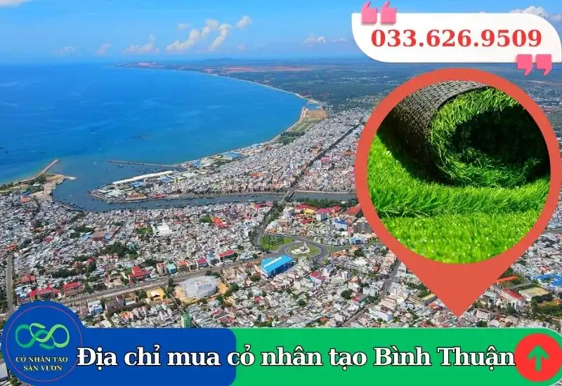 Thảm cỏ nhân tạo Bình Thuận