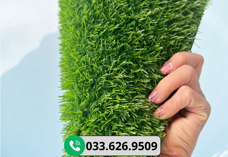Thảm cỏ nhân tạo cao 2cm