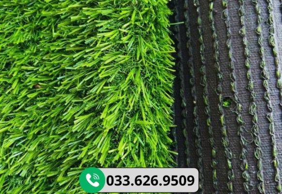 Thảm cỏ 2cm cao cấp