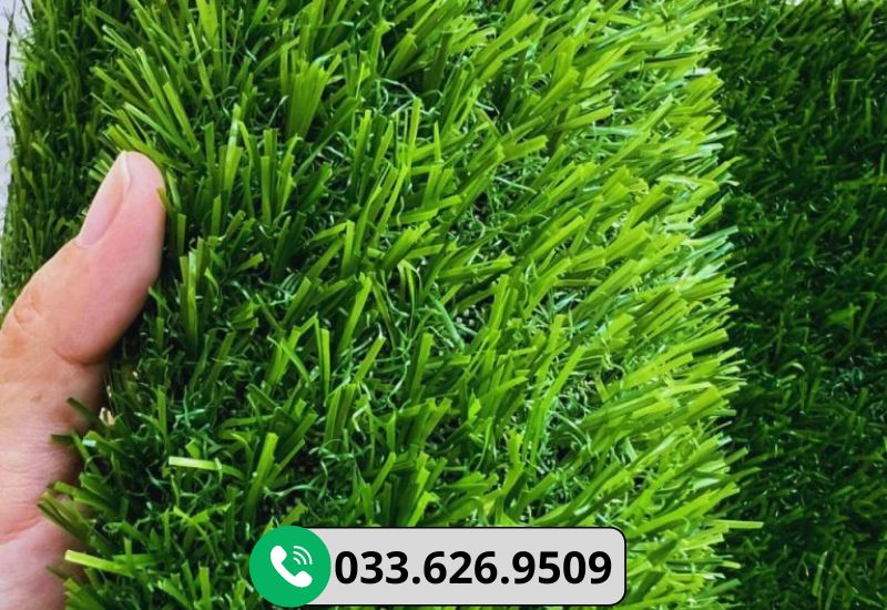 Cỏ nhân tạo 2cm đẹp