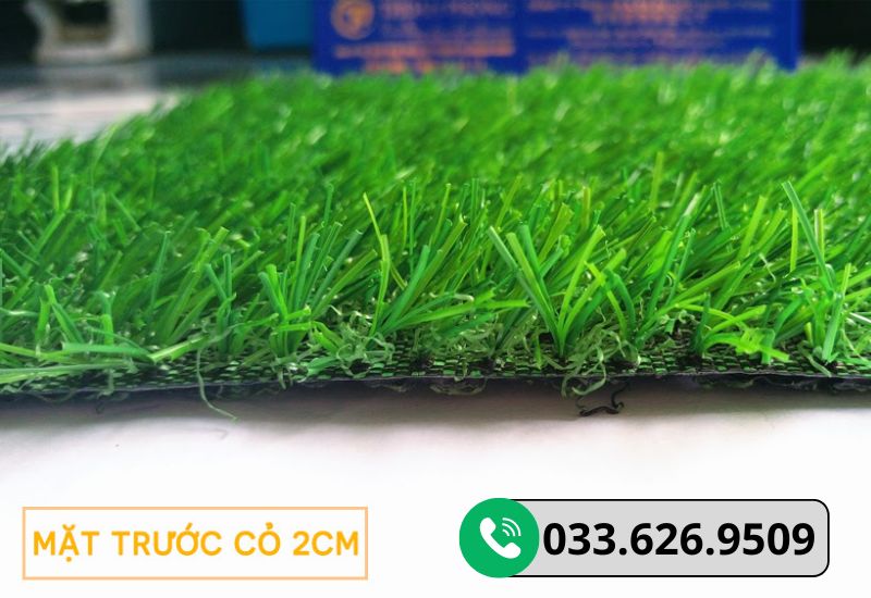 Thảm cỏ nhân tạo 2cm