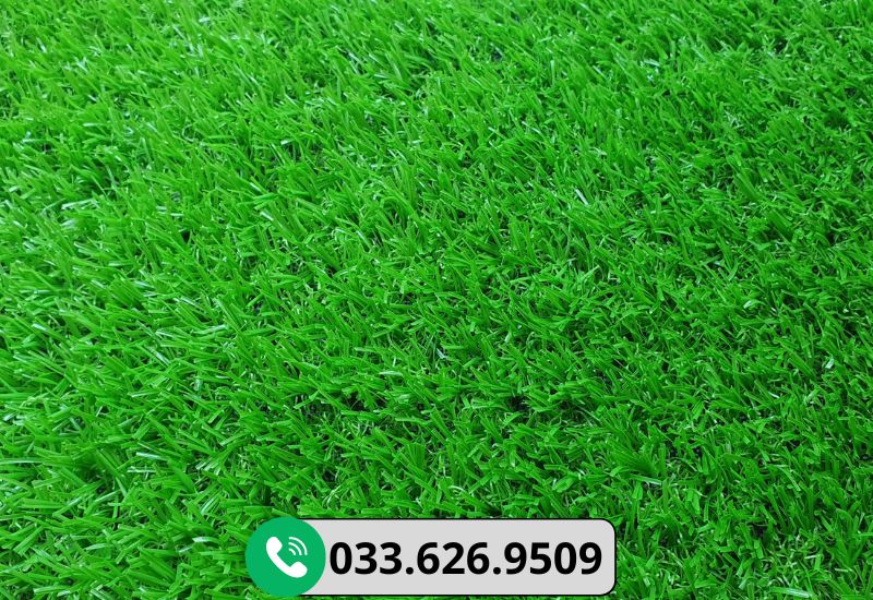 Cỏ nhân tạo 2cm cao cấp 160 mũi