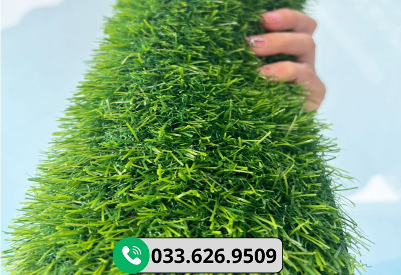 Cỏ 2cm với nhiều ứng dụng