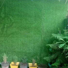 Điểm nhấn xanh, sạch đẹp cho bức tường