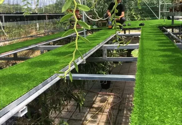 Cỏ nhân tạo dễ dàng thi công tại vườn lan