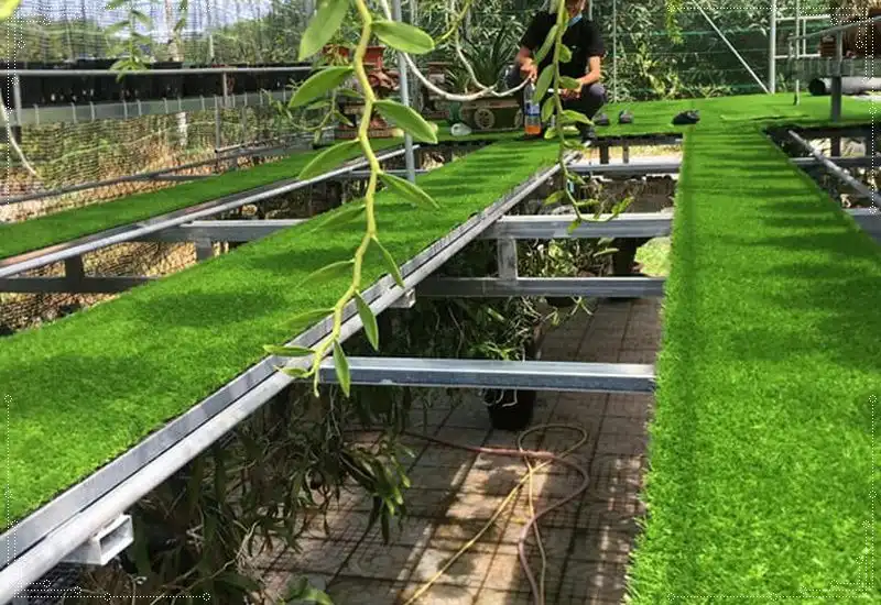 Cỏ nhân tạo dễ dàng thi công tại vườn lan