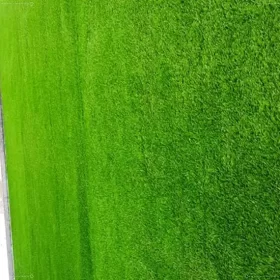 Những bức tường xanh làm điểm nhấn