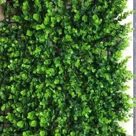Tấm cỏ nhân tạo tai chuột