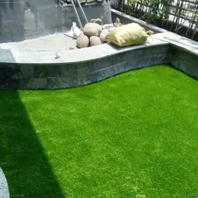 Mảng xanh tuyệt đẹp