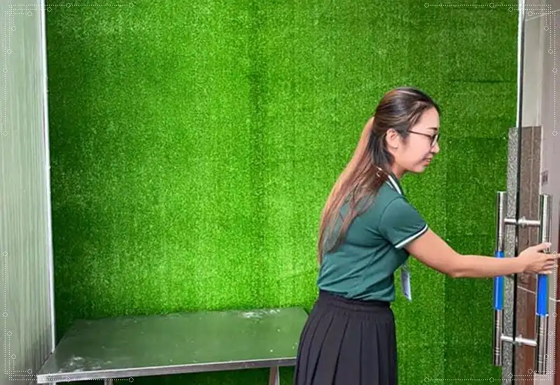 Trang trí tường đẹp mắt bằng cỏ nhân tạo