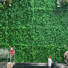 Tấm cỏ cải xoong thiết kế trang trí tường đẹp