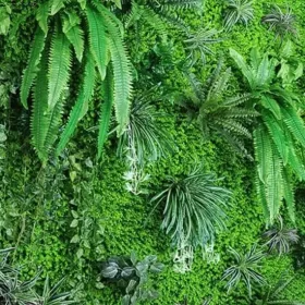 Mảng xanh đẹp mắt