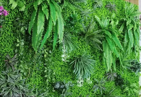 Mảng xanh đẹp mắt