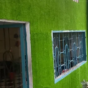 Bức tường nhà phủ xanh nét xanh