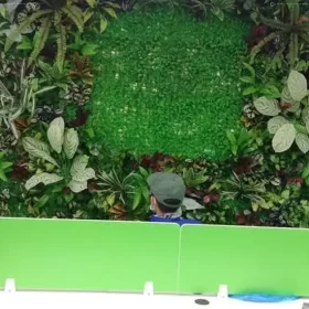 Thi công tấm cỏ cải xoong lên tường