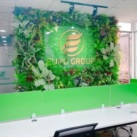 Thảm cỏ nhựa làm background đẹp mắt