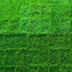 Thi công tấm cỏ tai chuột
