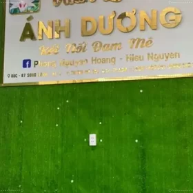 Cỏ nhân tạo dán tường đẹp mắt