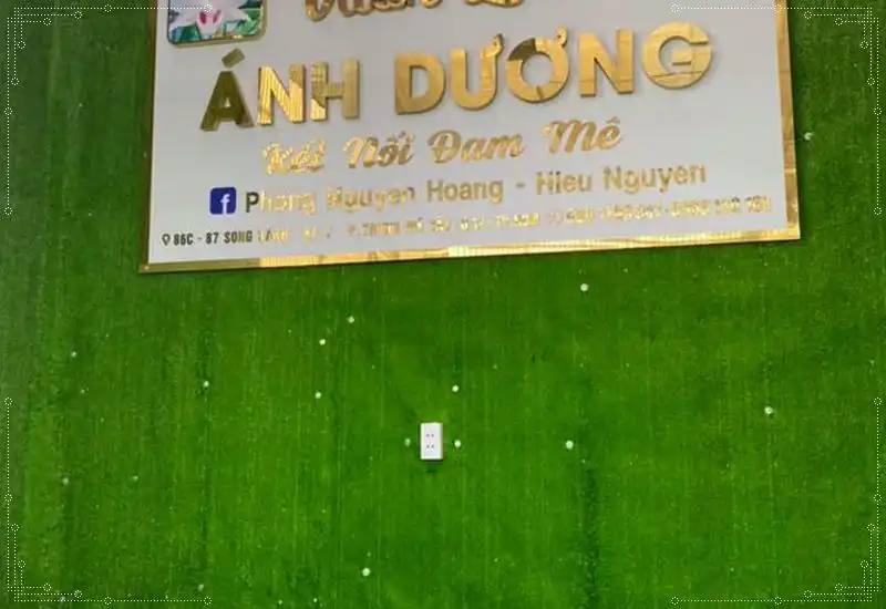 Cỏ nhân tạo dán tường đẹp mắt