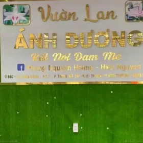 Cỏ nhân tạo trang trí vách logo