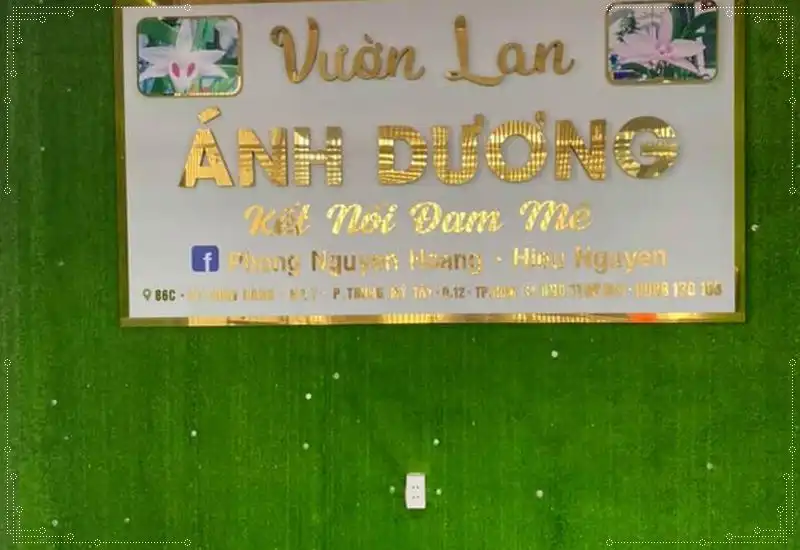 Cỏ nhân tạo trang trí vách logo