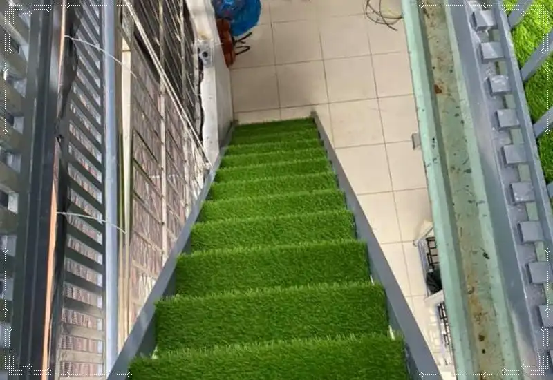 Cỏ nhân tạo cao cấp ứng dụng cho những công việc đòi hỏi độ bền cao