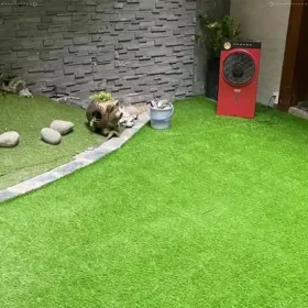 Phù hợp với nhiều không gian