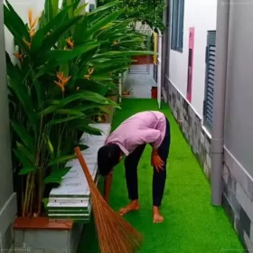 Làm góc vườn nhỏ xinh xinh