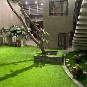 Chống nắng nóng hiệu quả