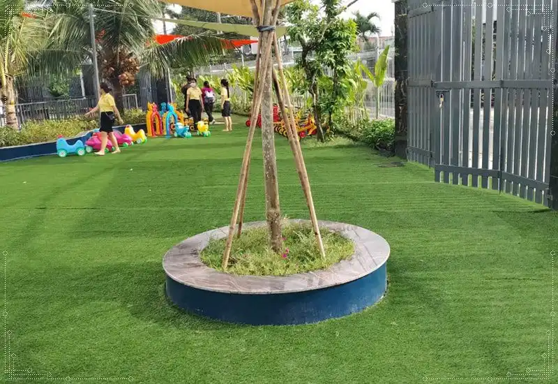 Cỏ nhân tạo trải trường mầm non sạch đẹp