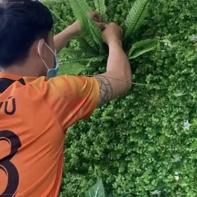 Cỏ hoa lá giả trang trí tường