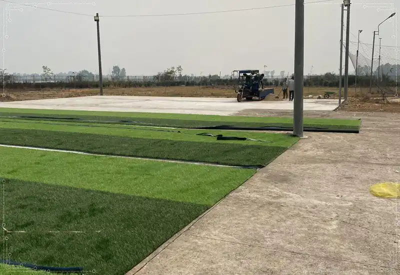Xây dựng, lựa chọn dòng cỏ theo mục đích, thời gian sử dụng