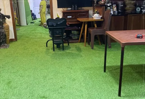 Cỏ nhân tạo trải trong nhà