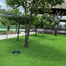 Cỏ nhân tạo trải sân vườn đẹp
