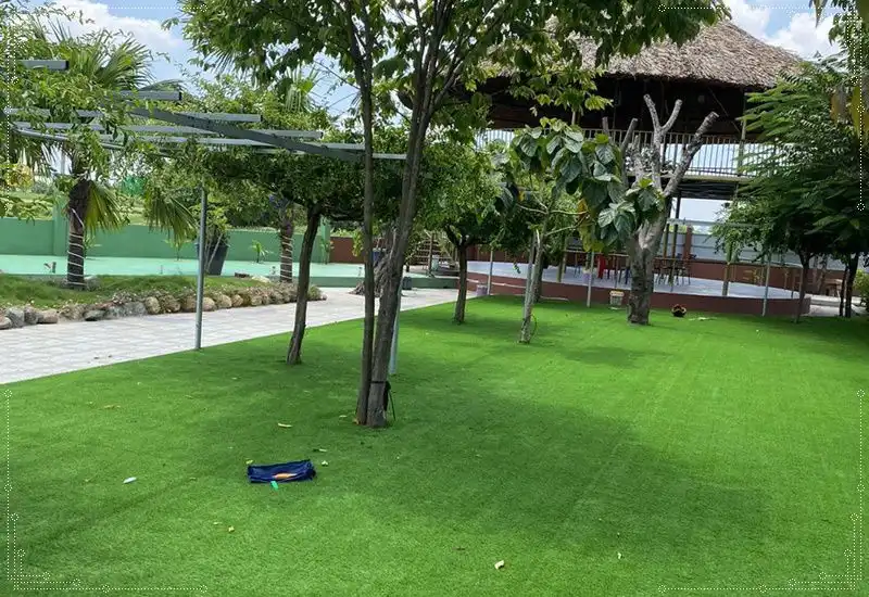 Cỏ nhân tạo trải sân vườn đẹp