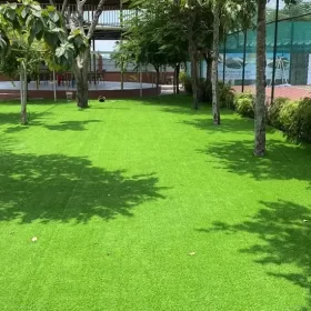 Thảm cỏ trải sân vườn đẹp mắt
