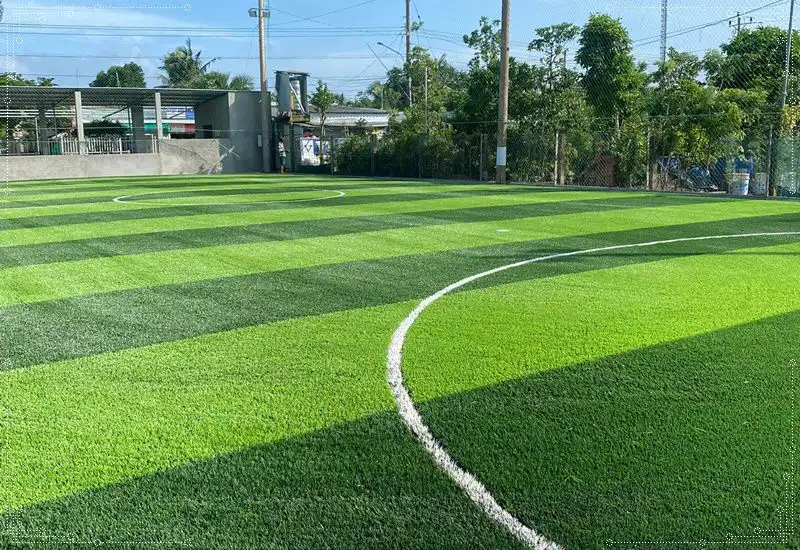 Cỏ nhân tạo thi công sân bóng đá