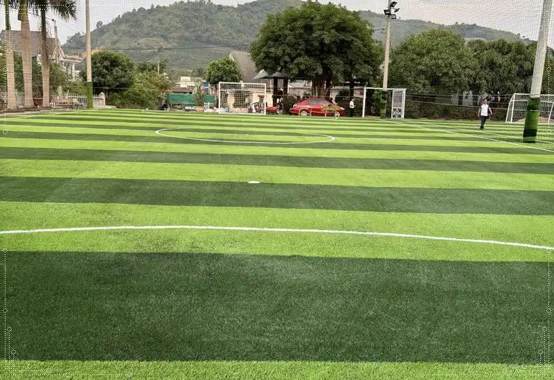 Thi công sân bóng 5 người