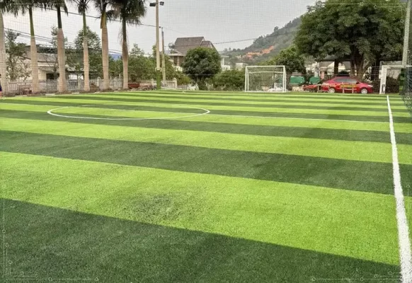 Sân bóng cỏ nhân tạo 5 người