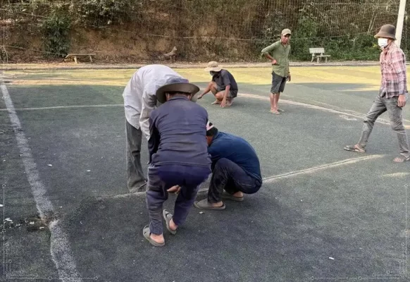 Cỏ nhân tạo thanh lý sân bóng