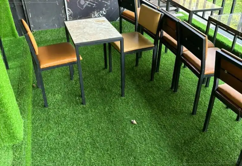 Cỏ nhân tạo trang trí quán cà phê