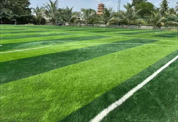 Mặt sân cỏ hoàn thiện