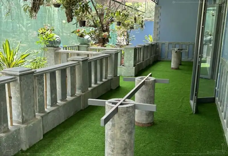 Cỏ nhân tạo trải hiên nhà