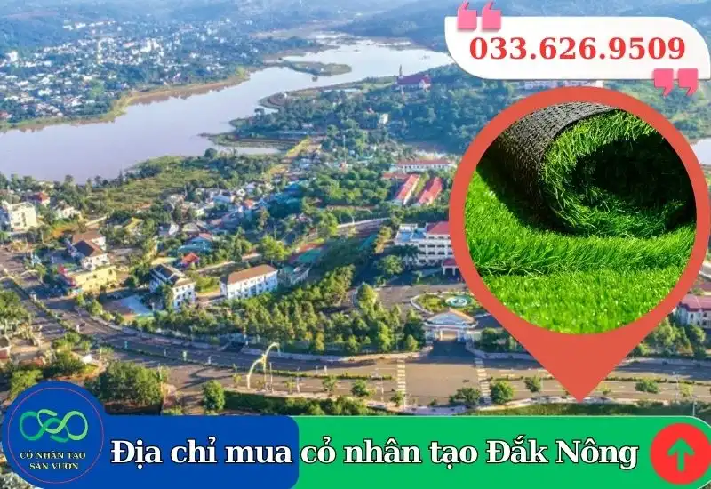 Thảm cỏ nhân tạo Đắk Nông giá rẻ